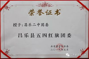 271教育結(jié)碩果，昌樂二中共青團(tuán)工作獲多項(xiàng)榮譽(yù)